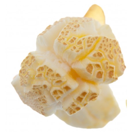 Autocollant Pop corn