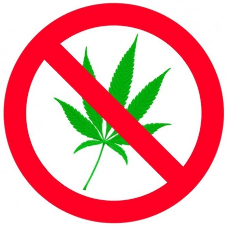 Sticker Raggea anti can feuille