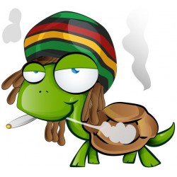 Autocollant Raggea tortue