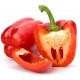Sticker poivron rouge couper