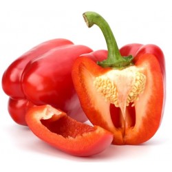 Sticker poivron rouge couper