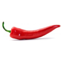 Sticker poivron rouge