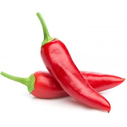 Sticker poivron rouge duo pas cher