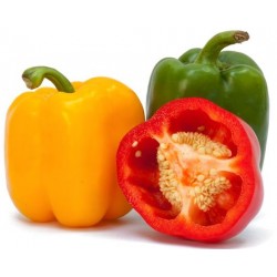 Sticker muraux poivron rouge trio jaune vert rouge