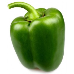 Sticker poivron vert