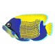 Sticker Poisson jaune bleu