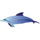 Sticker poisson dauphin