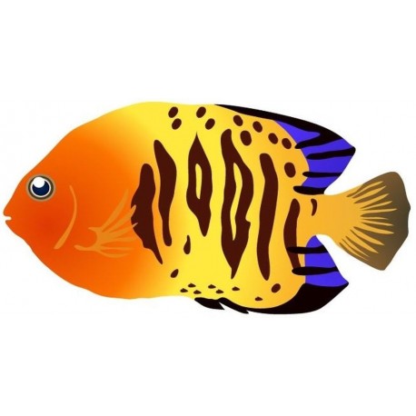 Sticker poisson noir orange jaune