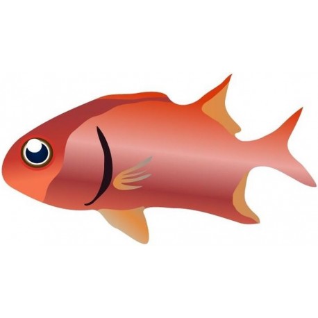 Sticker poisson rouge rose