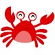 Sticker pirate