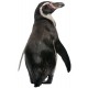 Sticker pingouin de dos
