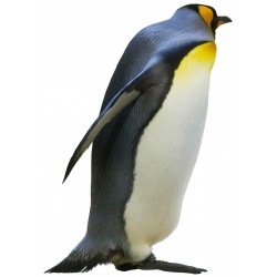 Sticker muraux pingouin