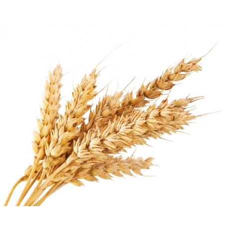 Autocollant paille blé