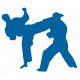 Sticker mural Judo