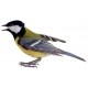 Sticker oiseau moineau bleu jaune