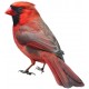 Sticker oiseau moineau rouge