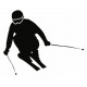 Sticker Ski