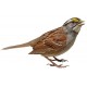 Sticker oiseau moineau marron