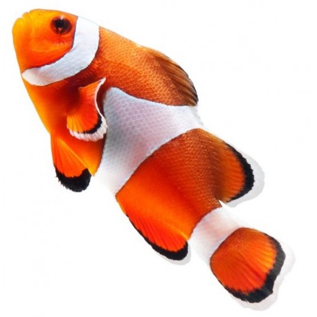 Sticker poisson clown pas cher