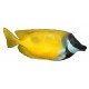 Autocollant poisson jaune