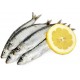Autocollant poisson sardine