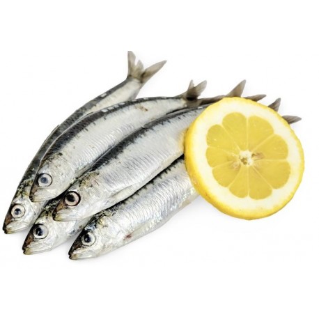 Autocollant poisson sardine