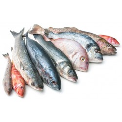 Sticker poisson sardine rouget