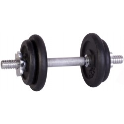 Sticker mural haltere