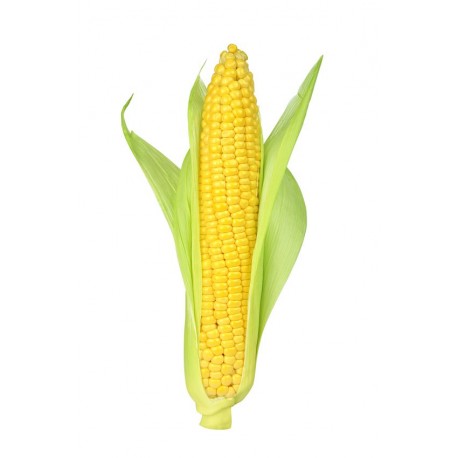 Autocollant mural mais