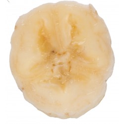 Sticker Fruit coupé