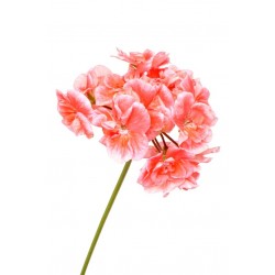 Sticker Fleur geranium orange