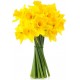Sticker Fleur jonquille jaune bouquet