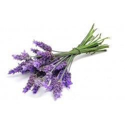 Sticker Fleur lavande violet