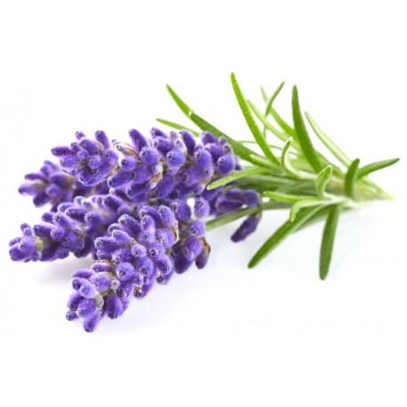 Sticker lavande bouquet