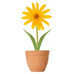 Sticker Fleur marguerite jaune pot