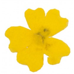 Sticker Fleur marguerite jaune
