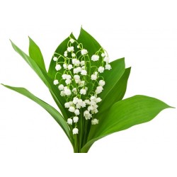 Sticker muguet avec clochette