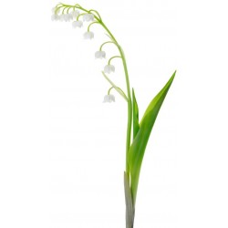 Sticker Fleur muguet blanc