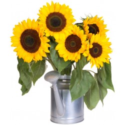 Sticker tournesol bouquet