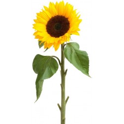 Sticker Fleur tournesol jaune