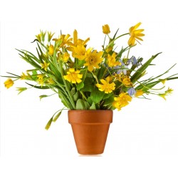 Sticker Fleur pot jaune