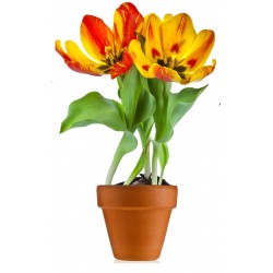 Sticker Fleur pot jaune rouge plante