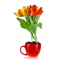 Sticker Fleur pot tasse rouge orange