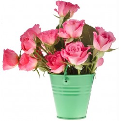 Sticker Fleur rose pot vert