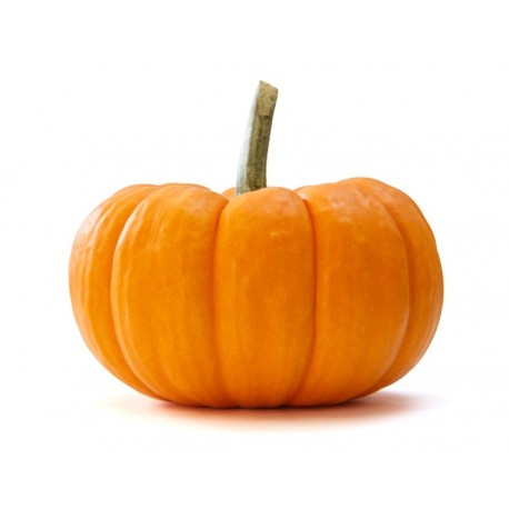 Sticker mural citrouille