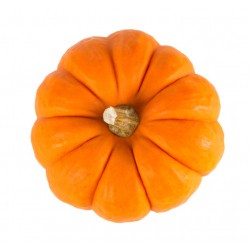 Autocollant mural citrouille