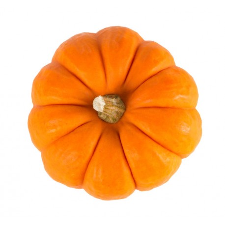 Autocollant mural citrouille