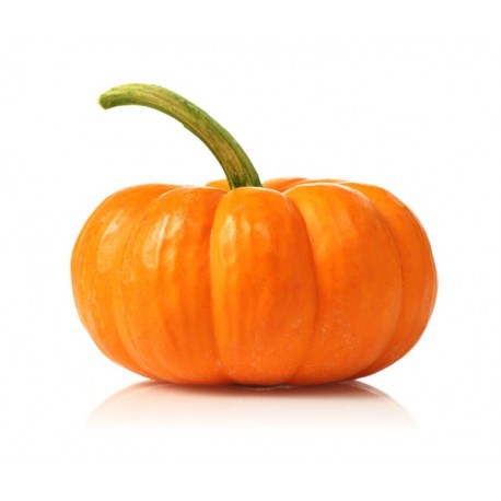 Sticker citrouille murale