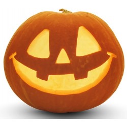 Sticker mural citrouille orange halloween