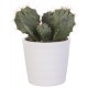 Sticker cactus pot blanc